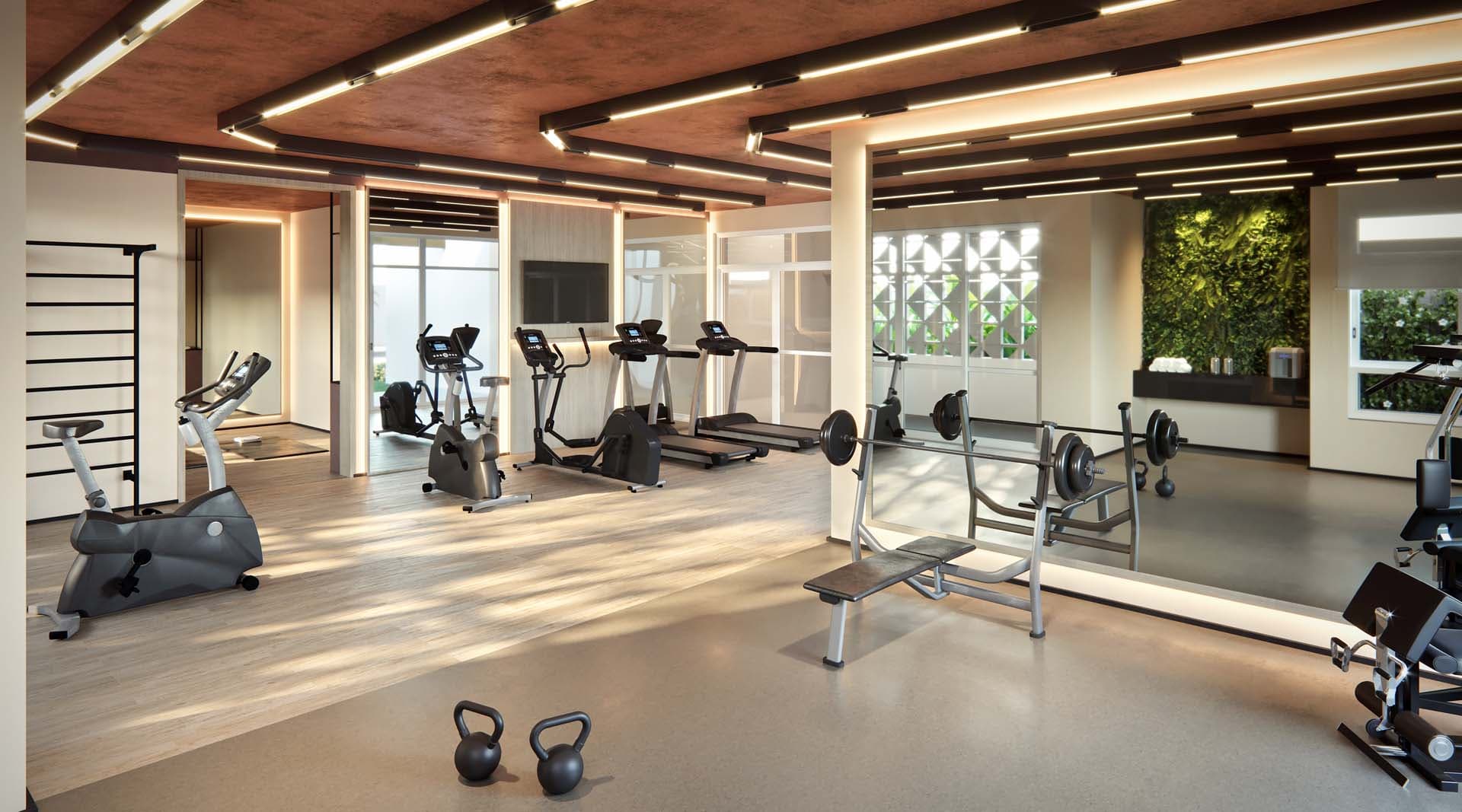 Perspectiva ilustrada preliminar do fitness.