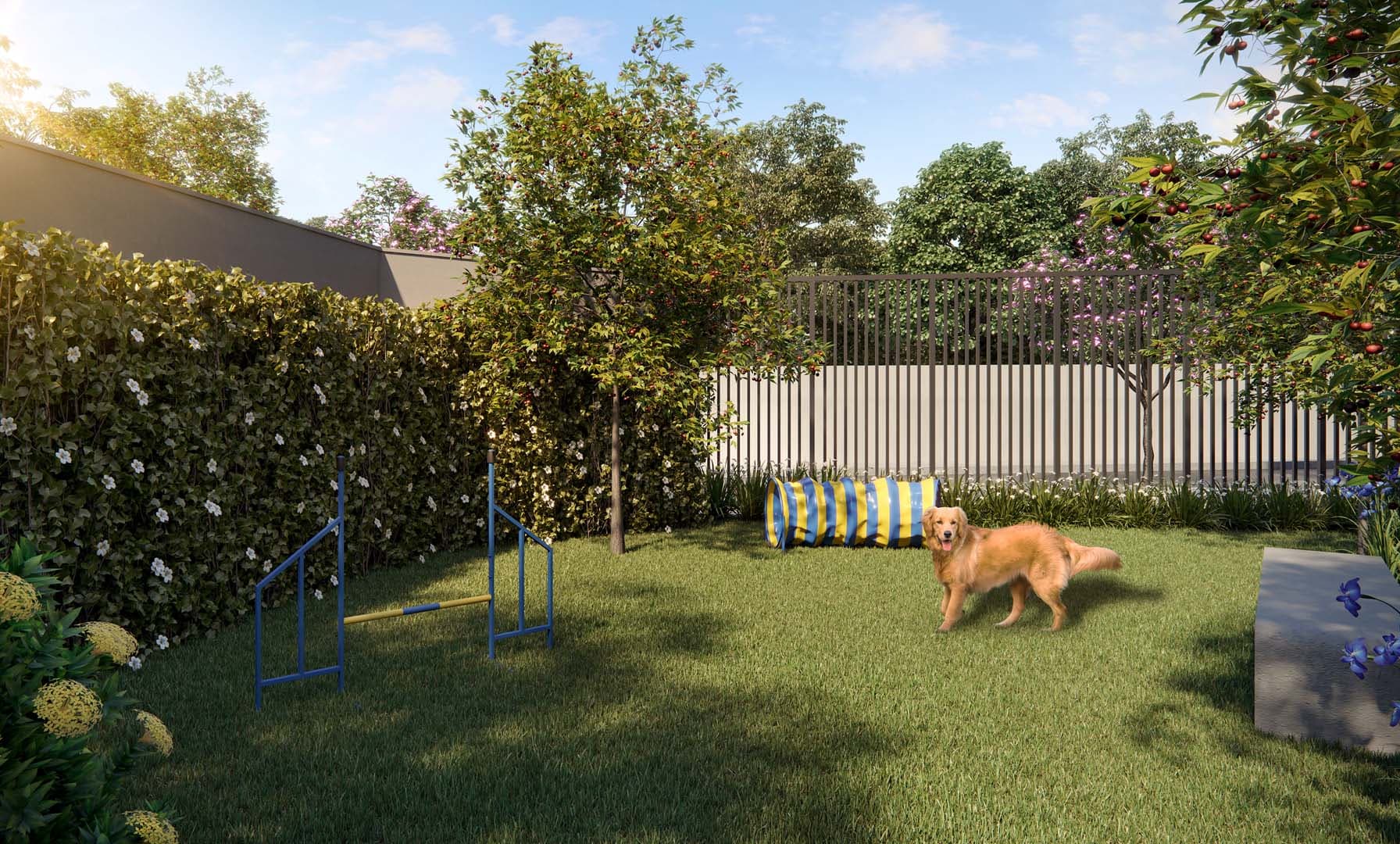 Perspectiva ilustrada preliminar do pet place.