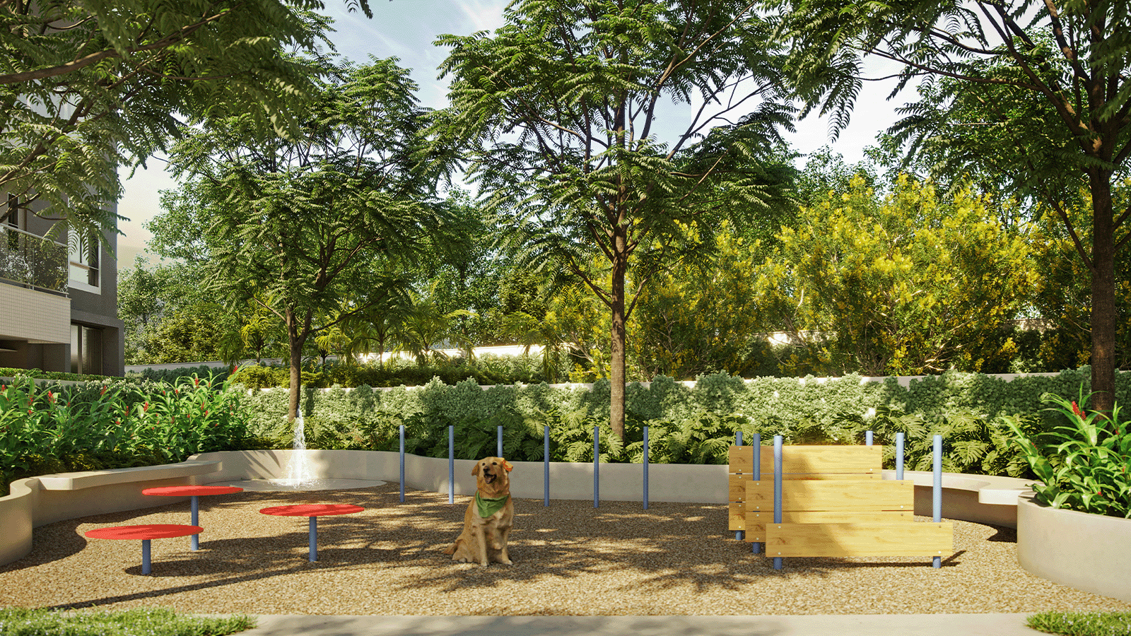 Perspectiva Ilustrada da Área Pet