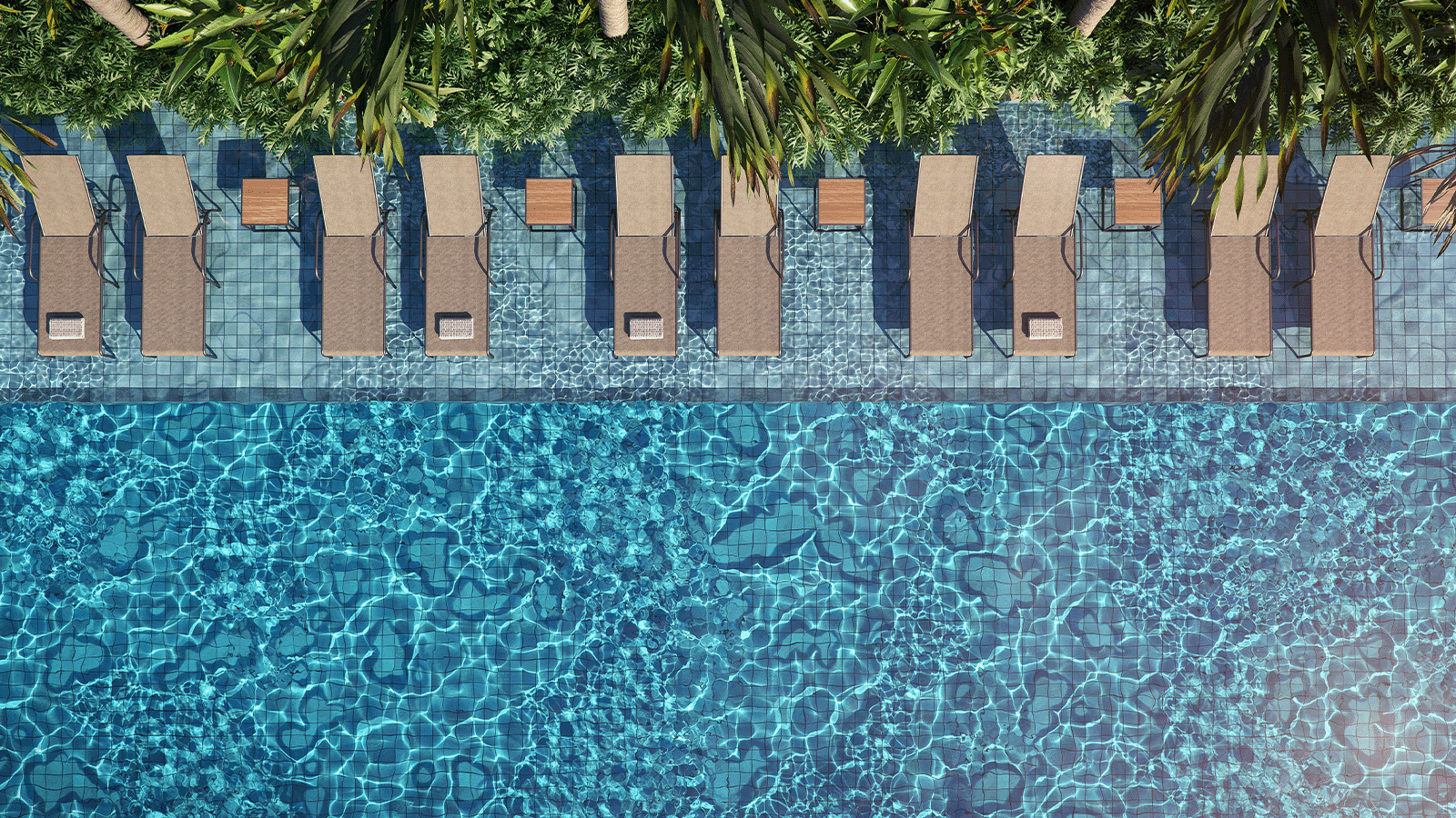 Perspectiva Ilustrada da Piscina Adulto