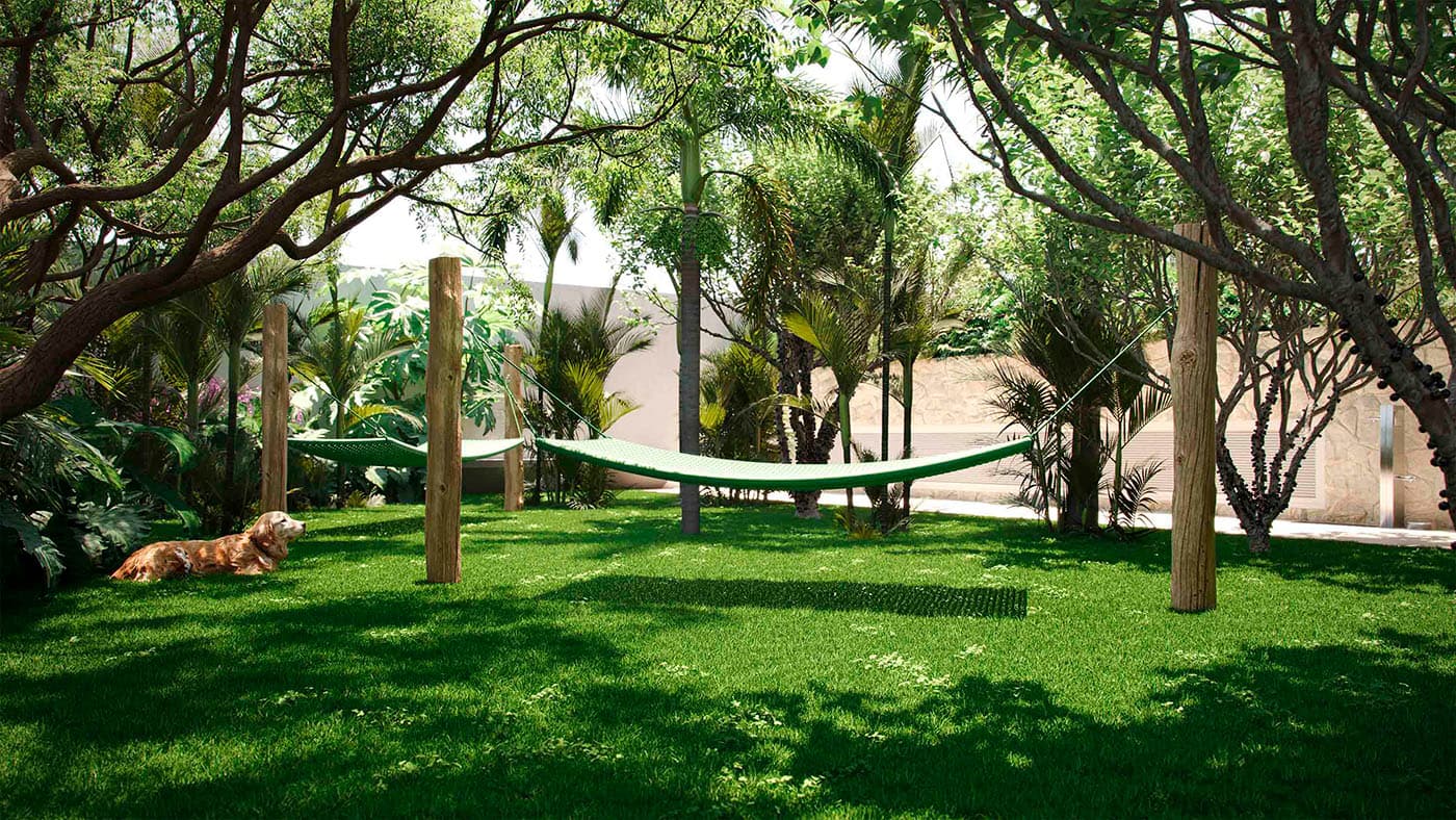 Perspectiva ilustrada do Pet Place